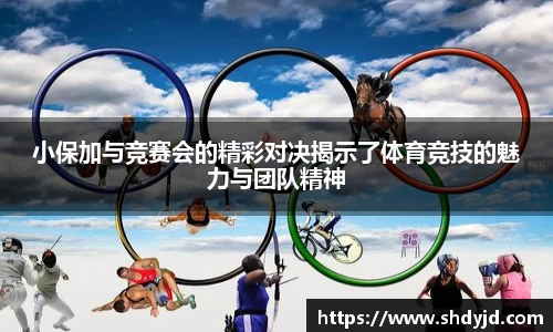 熊猫体育小保加与竞赛会的精彩对决揭示了体育竞技的魅力与团队精神